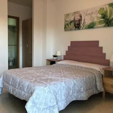 El Paraiso Playa 招待所 3*